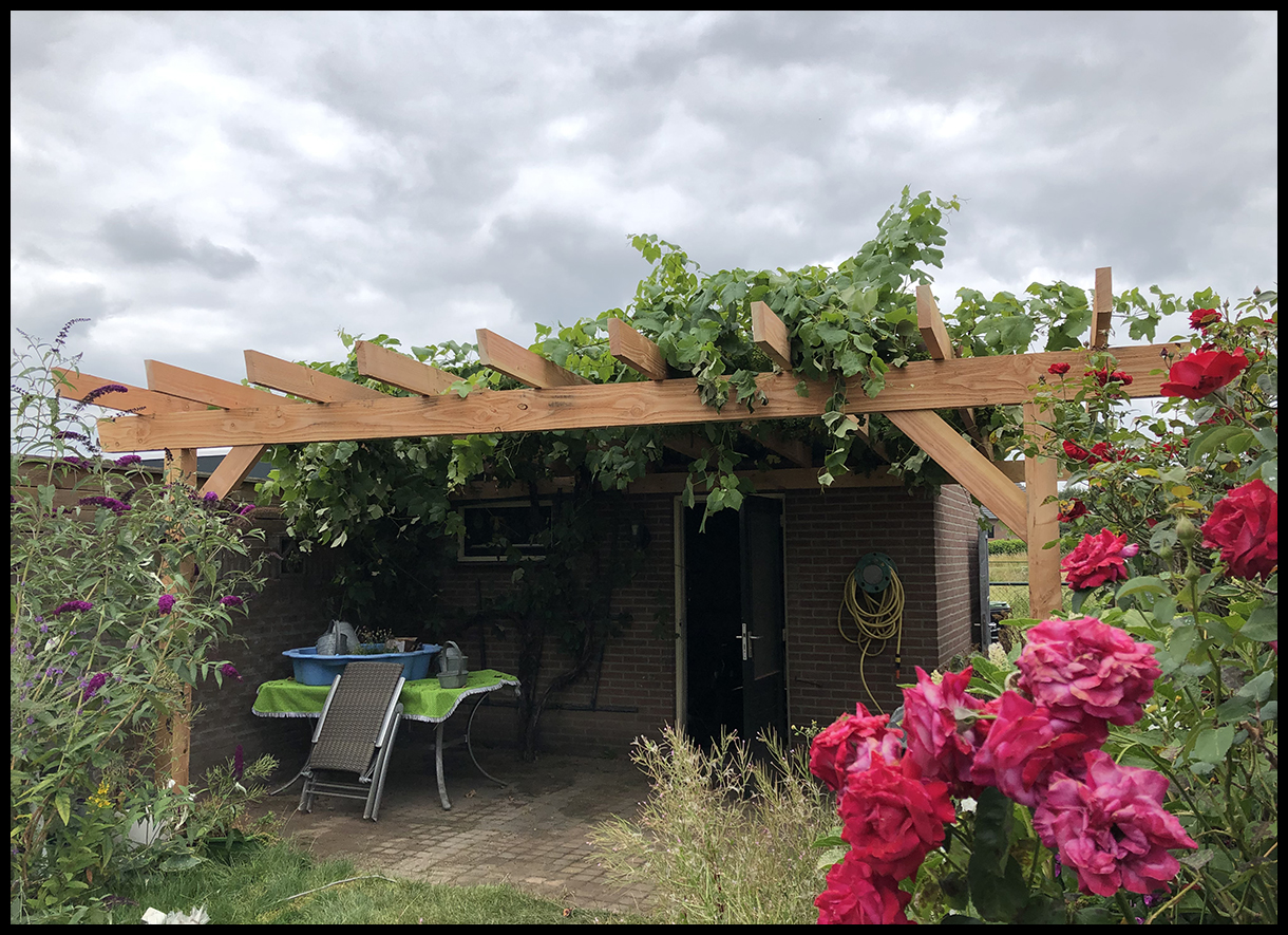 pergola de deense timmerman nijmegen douglas hout